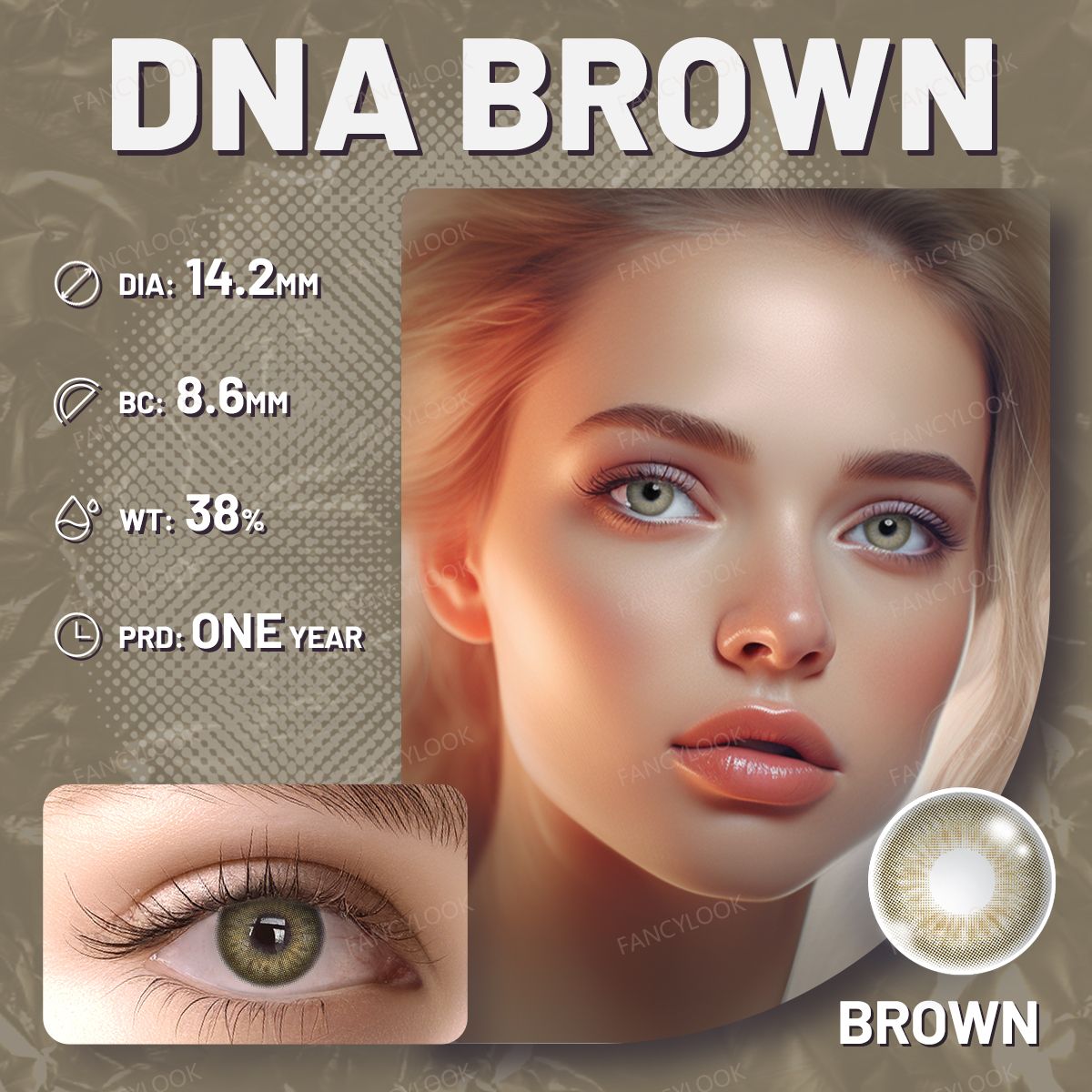DNA Taylor Brown | US Ready Stock